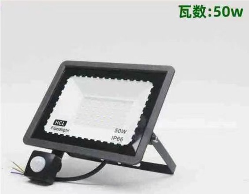 投光燈, 人體感應 50W